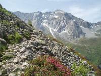 Youri - Ecrins 2005 346